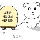 그린애플투어