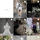 이음스냅