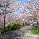 대동월드안경 이미지