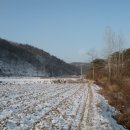 수랑골축사 | 전월지맥(1구간) : 국사봉 구간