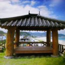 월포주유소 이미지