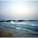 정동진역 이미지