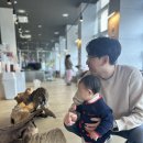 굿럭포유 | 파주 테이블에이 실내 동물원 아이랑 오픈런 후기