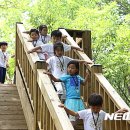 토리 유아숲체험원 이미지