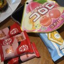 마미숑 | 행복의 달 (2025.11)