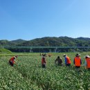 갈전마을회관 이미지