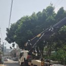 의정부스카이차 | 의정부 이사 스카이차 후기, 확실히 전문가 느낌 나더라고요
