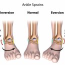 디오필라앤핏 오목교점 이미지