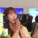 [초등학생 겨울방학 특강] 크리스마스 리스 만들기(4 ~ 6학년) | 인스타그램 라이브 쇼핑, 쇼호스트도 깜짝! GEOMETREE 지오메트리 3D 퍼즐 체험기