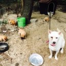 올포유펜션 이미지