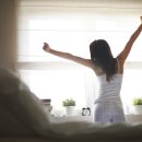 팜 라이프 이미지