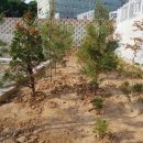 삼송제일약국 이미지