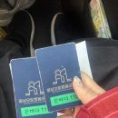 망상오토캠핑리조트 | 강원도 동해 망상오토캠핑리조트 겨울 캠핑 추천🏕️