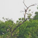 낙동강변15 이미지