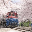 다오헤어 이미지