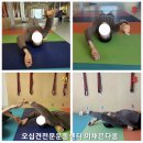 [공지] 🫶원장님과 오십견 재활 20회차 후기🫶#이채은다옴#이채은대흘#대흘이채은#이채은다옴메디월필라테스