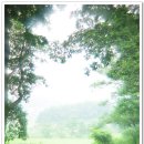 뜰가득한 이미지