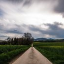 거야농장 이미지