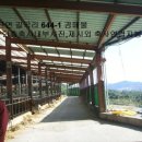 대환축사 이미지