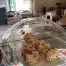 웰하우스 이미지