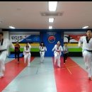 한양대탑수정태권도 네이버블로그