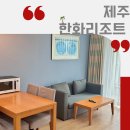 금호세탁 | 제주 금호리조트 스위트 양실 솔직후기 가족여행에 딱! 조용한 힐링 숙소