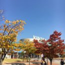 COSTCOFFEE | 2017 카페베이커리페어 후기! 일산킨텍스 각종 시음과 시식할 것 가득! 강추!(카페 창업)