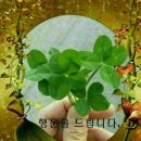 행운 Daum카페