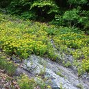 신성리 공룡발자국 이미지