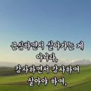 자연을벗삼아
