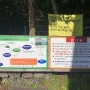 베또롱