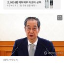 민주당,헌재관 후임 지명 한덕수에 &#34;스스로 탄핵 유도&#34; 이미지