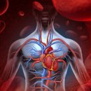 김포강심장내과의원 이미지