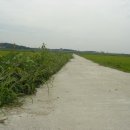 초촌초등학교 이미지