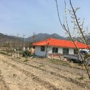 오렌지하우스 이미지