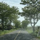 플랜티풀랜드 이미지