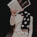 카멜리아 이미지