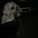 거산동물병원 이미지