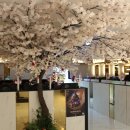 레드포스PC아레나 춘천퇴계점 이미지