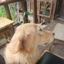 백운수선