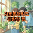 즐거운동행태양광발전소 | 기후동행퀴즈 11월13일 11월7일 해설로 배우는 친환경 생활!