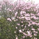 화학산등산로 이미지