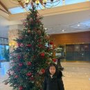 하이원 팰리스호텔 | 강원 정선여행 하이원 팰리스호텔 온돌룸 숙박후기