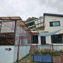 세인트354 이미지