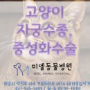 미엘동물병원 이미지