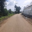 표선면-1 이미지