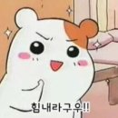 맥스체대입시영통교육원