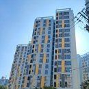 상업용 38 이미지