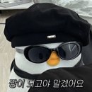 차의과학대학교 스포츠의학대학원 | [공지] 화정필라테스, 글루필라테스 - 차의과학대학교 스포츠의학대학원 공부하러 갑니다 !