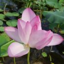 청살림영농조합법인 이미지